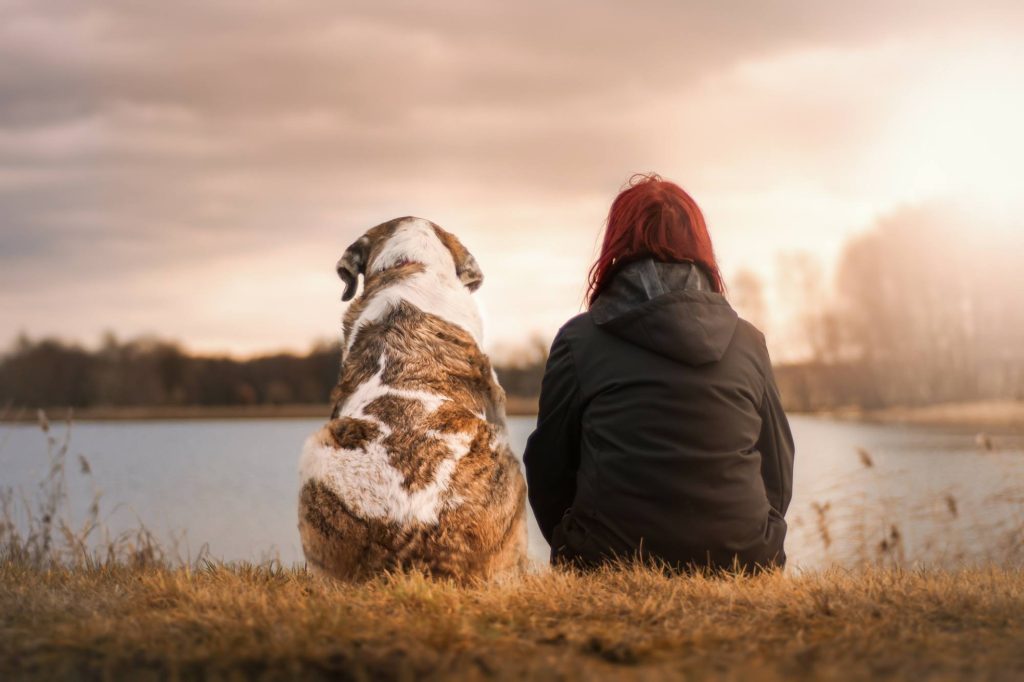 Taking pets to Italy