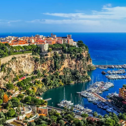 Monte-Carlo Monte-Carlo