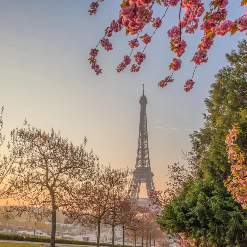 Paris-France Paris-France