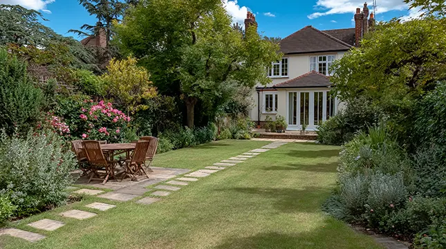 Tidy Up Your Garden