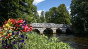 Living in Ringwood – 10 Great Reasons to Move Here x