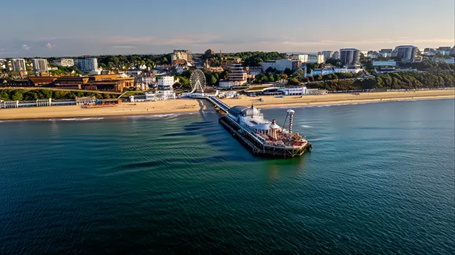 3. Local Amenities & Lifestyle