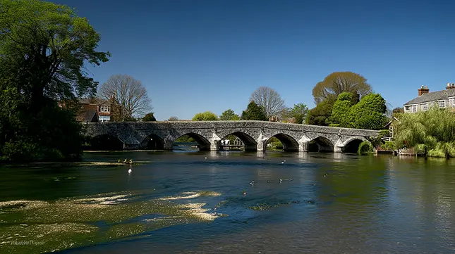 Outdoor Life & Green Space