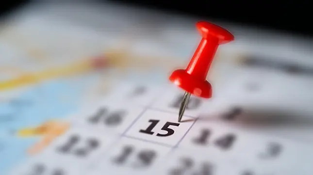 The Ideal Timeline to Book Your Removals Company