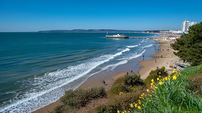 Think About Green Space and Lifestyle Perks