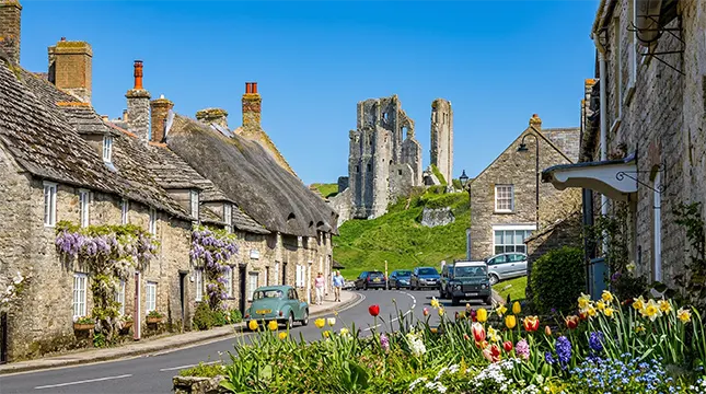 The Dorset Factor – What Can Affect your Move