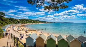 Removals in Highcliffe What Home Movers in This New Forest Coastal Village Need to Know (2026)