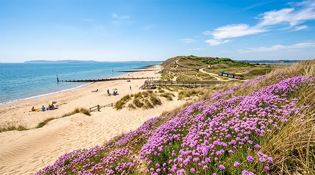 Things to Do in Mudeford